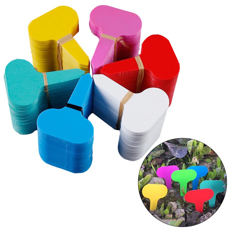 50 stücke T-typ Anlage Schild Kunststoff Bunte Pflanze Marker Garten Bonsai Sukkulente Sämlinge Stichworte Zeichen Garten Etiketten Garten Dekor