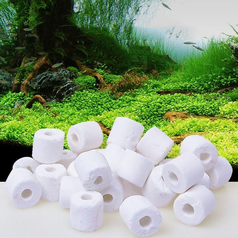 Aquarium Filter Keramik Ring für Aquarium Glas Ring Biologische Ring Baterial Haus Aquarium Filter Medien 100g