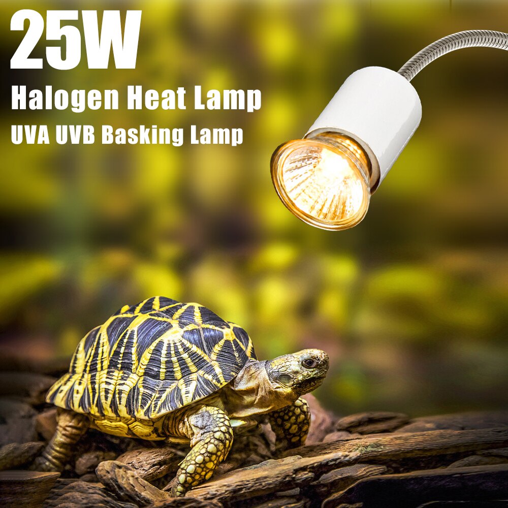 Reptil Lampe einstellen 25W UVA + UVB Lampe Clip-auf Birne Halfter Halogen Wärme Lampe Schildkröte Schildkrözehn Aalen lampe Wärme licht Bausatz