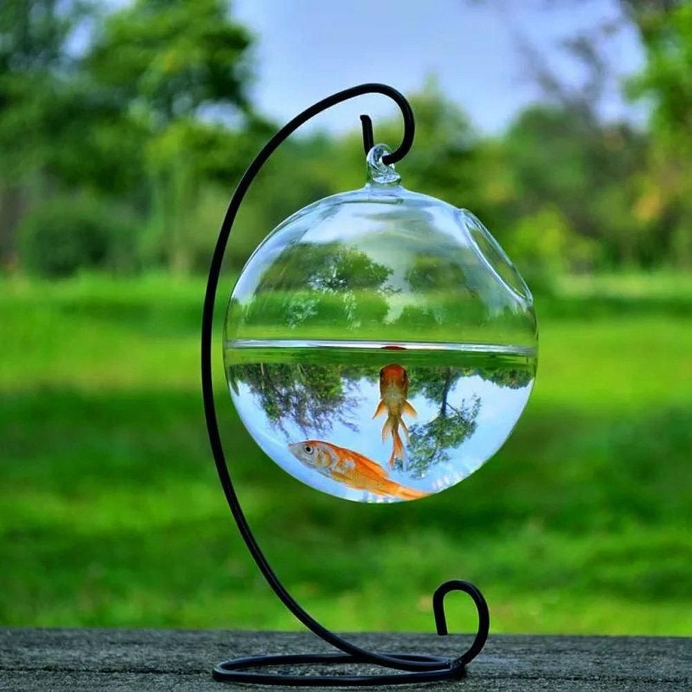 1einstellen Runde bilden Hängen Glas Aquarium Fisch Schüssel Fisch Panzer Blume Pflanze Vase mit 12cm Höer Gestell Halfter hause Dekoration