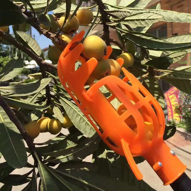 1Pc Kunststoff Obst Pflücker Ohne Pol Obst Fänger Kollektor Für Gartenarbeit Pflücken Werkzeug