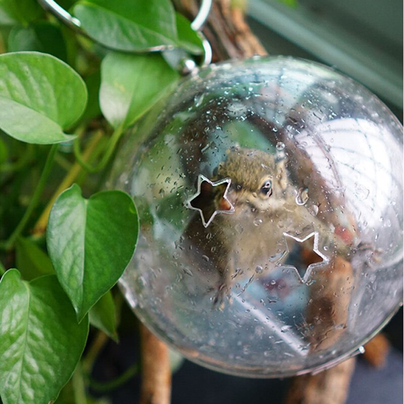 Hamster außerhalb mit tasche fütterung tasche kleine Haustier transparent hundert reiten tasche atmungsaktive acryl Stern schwer Pack reisen käFeige