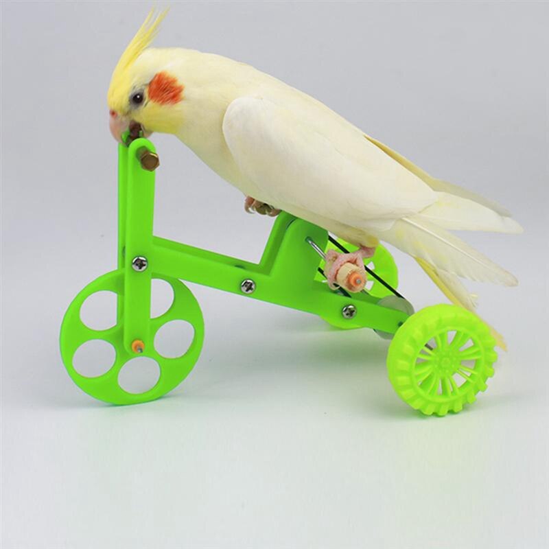 Lustige Papagei Spielzeug Fahrrad Vogel Ausbildung Liefert VöGel Ausbildung Spielzeug Papagei Ausbildung Requisiten Interessant Papagei Spielzeug