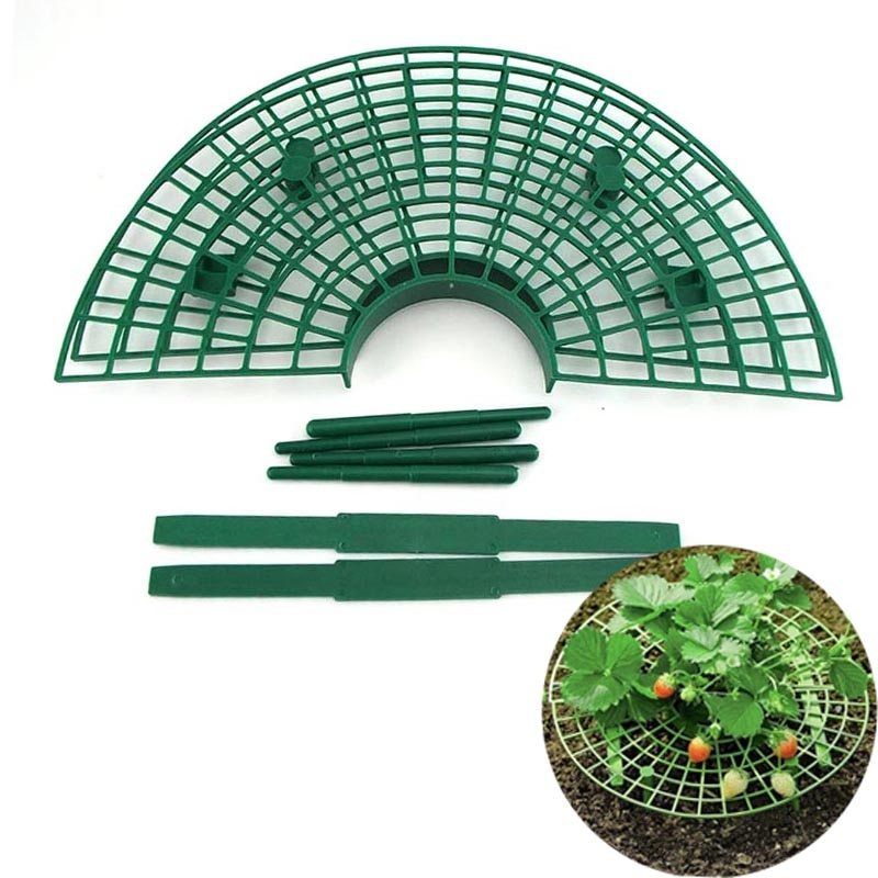 Anlage werkzeuge Erdbeere Unterstützung stehen Klettern Pflanzung Rahmen Halfter Gartenarbeit Balkon Gestell Landwirtschaft Blume Reben Säule Pflanzer