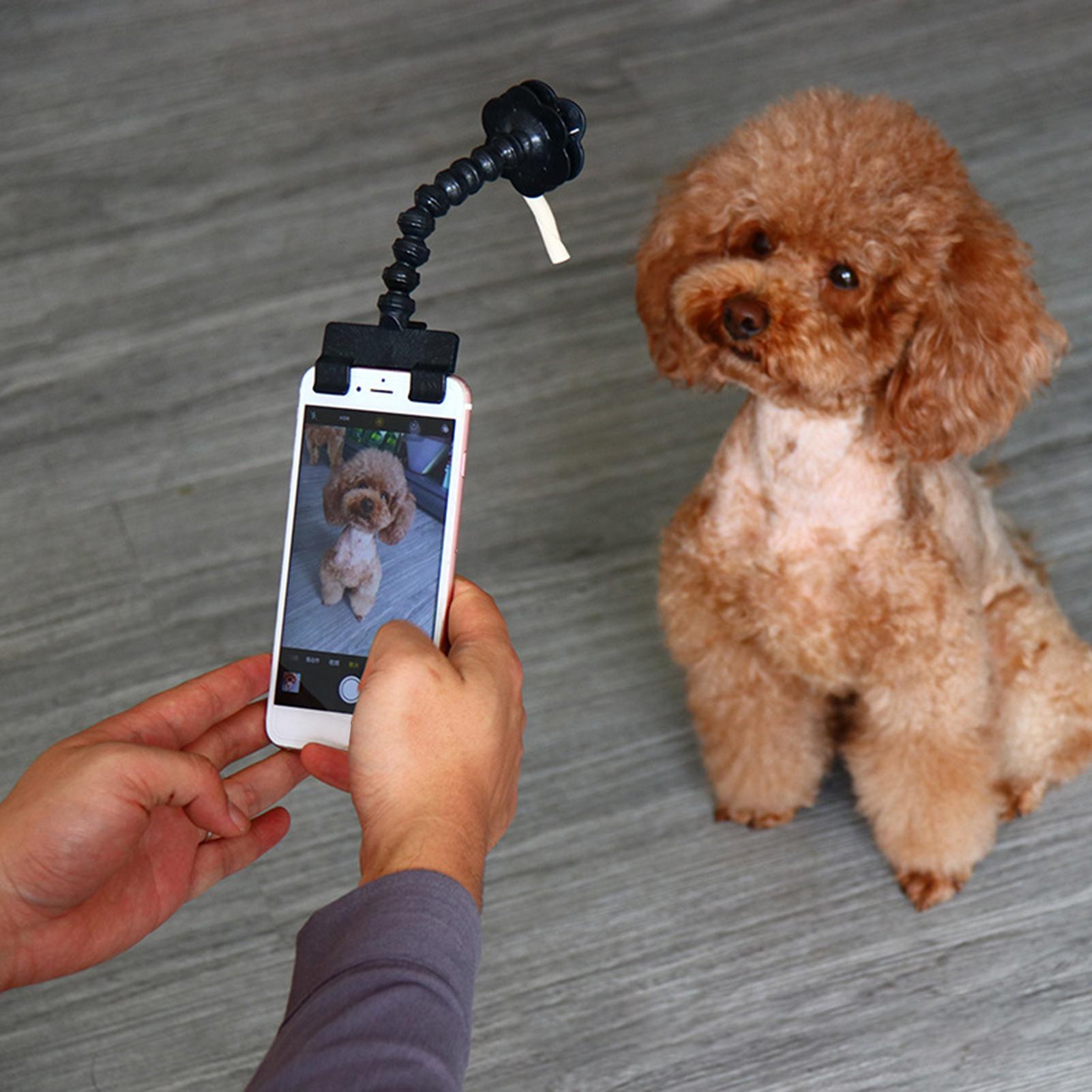 Haustier Selfie Stock Hund Katze Smartphone Selfie Stock Welpen Selfie Stock Stange Hund Katze Foto Schießen Spielzeug praktisch Clip Haustier Liefern