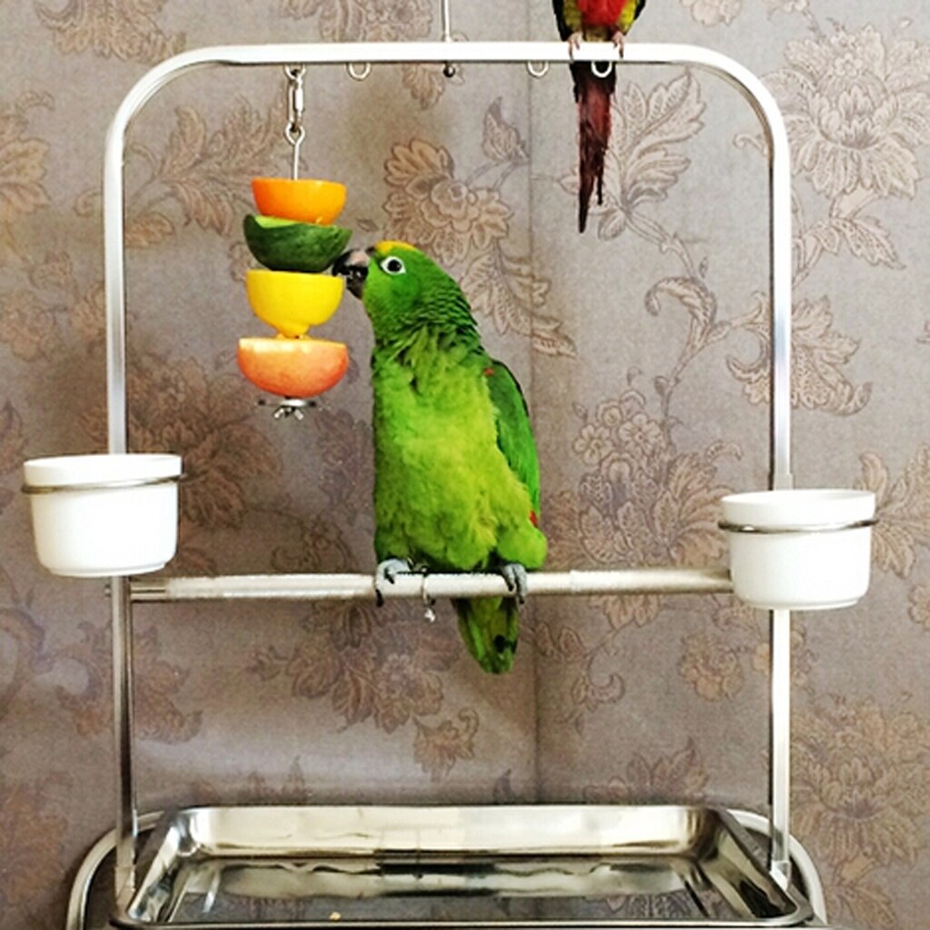 12cm Obst Gemüse Halfter Spieß für Vogel Kaninchen Stall KäFeige Wohnkultur Haustier Zubehör Vogel Nester Liefert silber