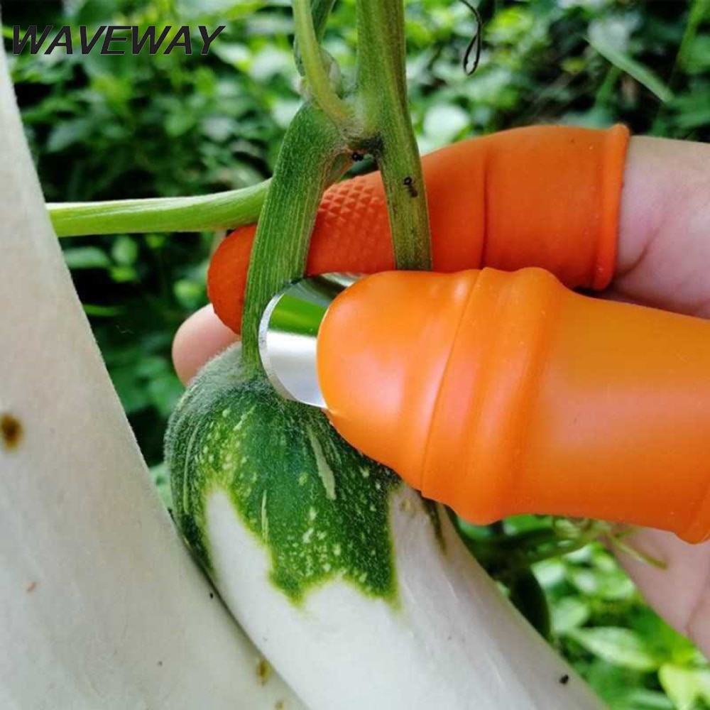 Daumen Cutter Gartengeräte Rebschnitt Schere Garten Pflücken Anlage Gemüse Separator Finger Werkzeug Multifunktions Küche Cutter