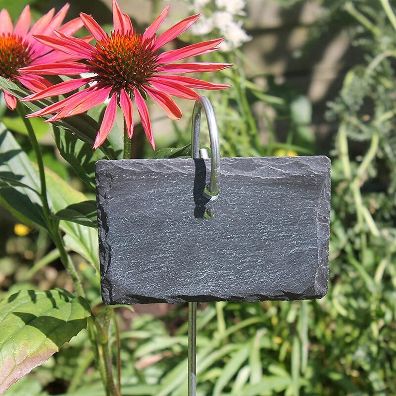 10Stck Anlage Etikett Garten Marker Zeichen Etiketten Wetterfeste Wiederverwendbare Schiefer Hängen Stichworte auf für Blume Bett Töpfe Pflanzer