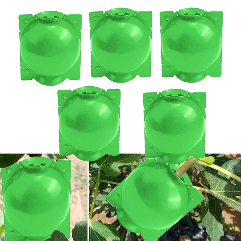 5Stck Anlage Verwurzelung Ball Pfropfen Wiederverwendbare Bequem Anlage Verwurzelung Wachsenden Kasten Gerät Zucht fallen für Garten Rosen Obst Bäume