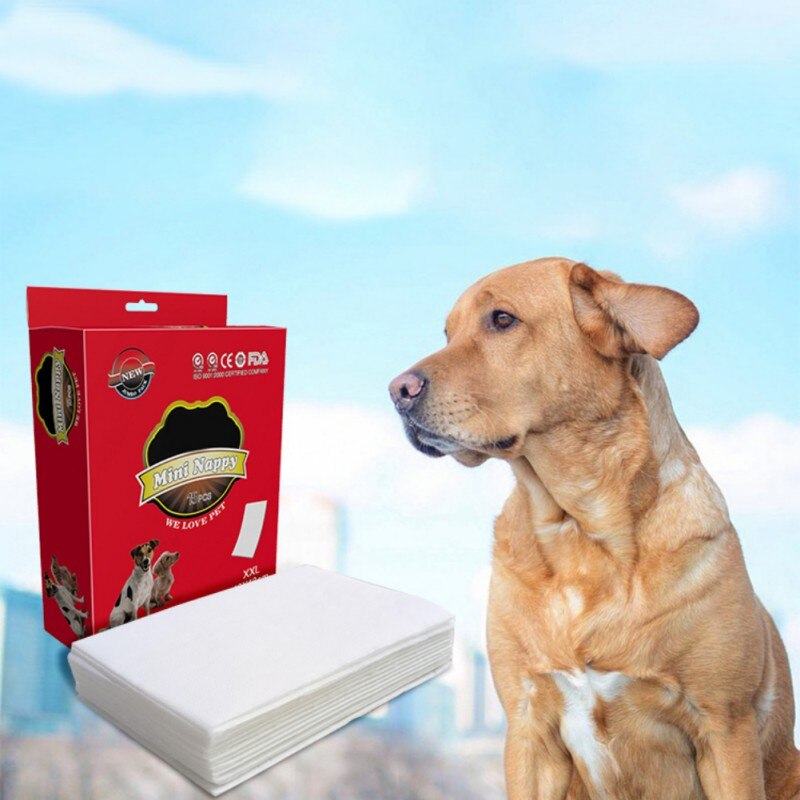 10 teile/los Einweg Weibliche Hund Windeln Mit extra Abnehmbare Windel Pads Verhindert Lecks wickelt Für Weibliche Hund Windel Pads