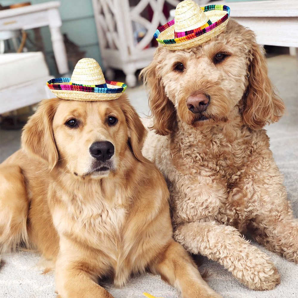 Haustier Stroh Hütte Sombrero Hütte Mexikanischen Hüte Dekorative Party Hütte Für Katze Hund Kleine Haustiere Hunde Hawaii Stil Hütte Für hunde Zubehör