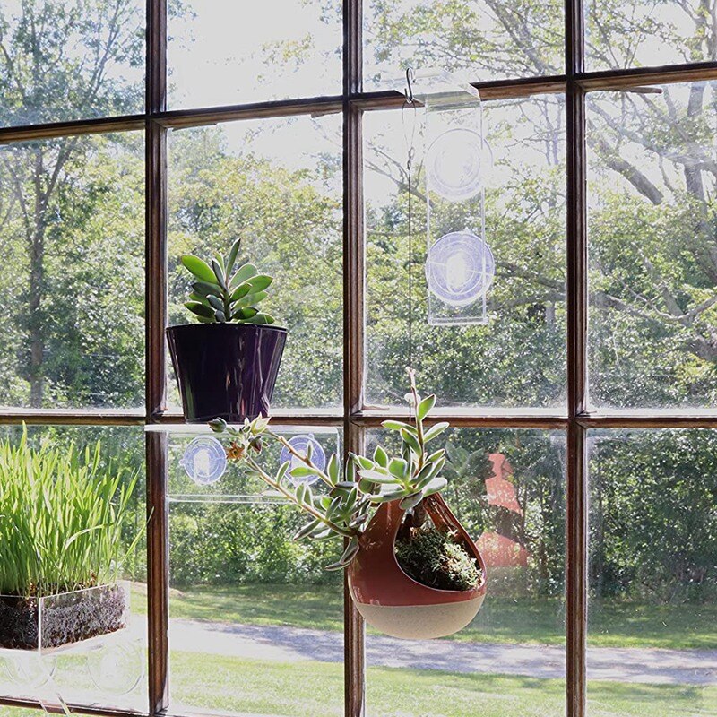 Leiste Saugnapf Fenster Regal Acryl Anlage Fenster Regal Anlage Regal für sterben Schaffung drinnen Pflanzen Garten auf Fenster