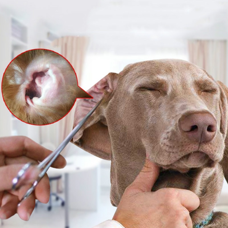 Hund Zubehör Saubere Ohren Haar Haustier Reinigung Zangen Haustier Katze Hund Hämostase Haar Haarschneidemaschine Reinigung Ohr Ellenbogen Hundesalon Liefert