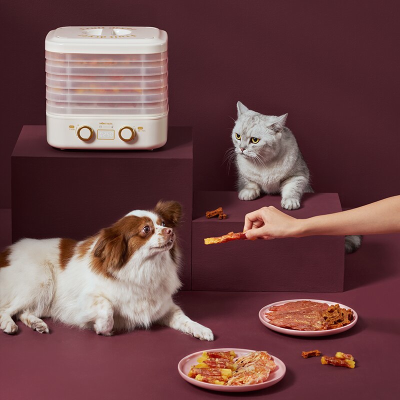 220V 5 Schichten Elektrische Haushalts Lebensmittel Trockner Haustier Fleisch Trocknen Maschine Weiß/Grün Farbe Erhältlich Gemüse, Obst, Lebensmittel dörr