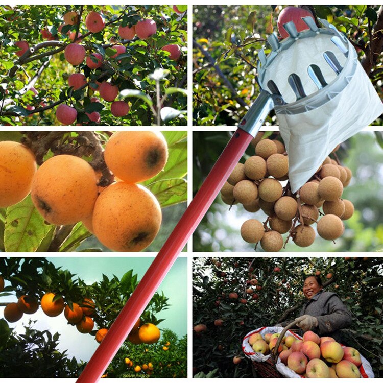 Gartengeräte Metall Obst Pflücker Bequem Gartenbau Obst Pflücker Gartenarbeit Apfel Pfirsich Pflücken Werkzeuge