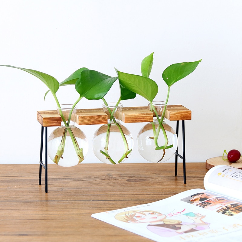 Glas Flasche Vase Hydrokultur Werk transparent Vase Holz Rahmen Kaffee Einkaufen Zimmer Dekor Tisch Schreibtisch Dekoration Vase terrarium