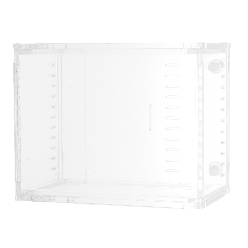 Reptil Terrarium Amphibien Lebensraum für Mini Haustier HäNutzer Acryl Kasten Klar