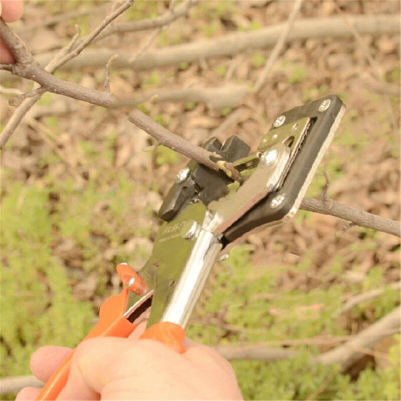 NEUE-Garten Obst Baum Profi Rebschnitt Schere Schere Pfropfen Schneiden Werkzeug Pruner Baum Schneiden Werkzeug Garten Engraft Pfropfen Werkzeug einstellen