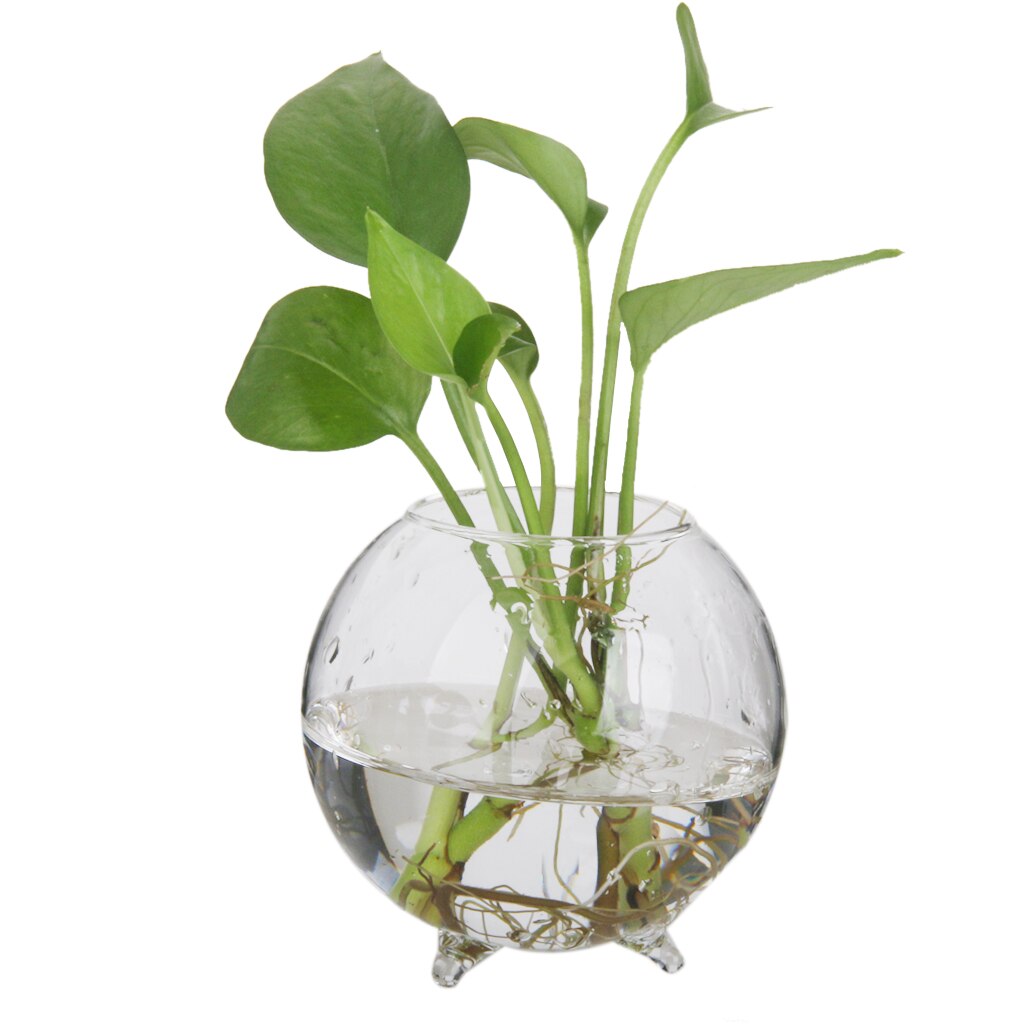 6 stücke Hause Dekorative Ball bilden Klar Glas Anzeige Vasen Fisch Schüssel Luft Pflanzen Hydrokultur Topf Terrarium DIY Mikro Landschaft werkzeug