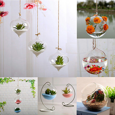 10 CM transparent Klar Zauberstab Hängen Glas Vase Terrarium Pflanzen Blume Hydrokultur Mikro Landschaft DIY Kerzenhalter Heimat Dekor