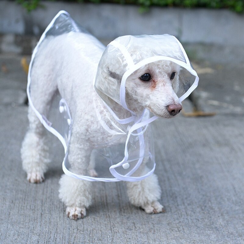 Ich bin freien Hund Wasserdichte Regenmantel für Welpen transparent Haustier Hund Regenmantel Haustier Sommer Kleidung Haustier Regnerischen Schild Reise Ausrügestochen Kleine