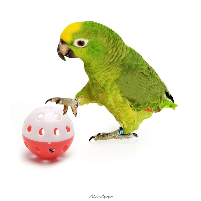 Haustier Papagei Spielzeug Vogel Hohl Glocke Ball Für Sittich Nymphensittich Kauen Spaß KäFeige Spielzeug genial Spielzeug