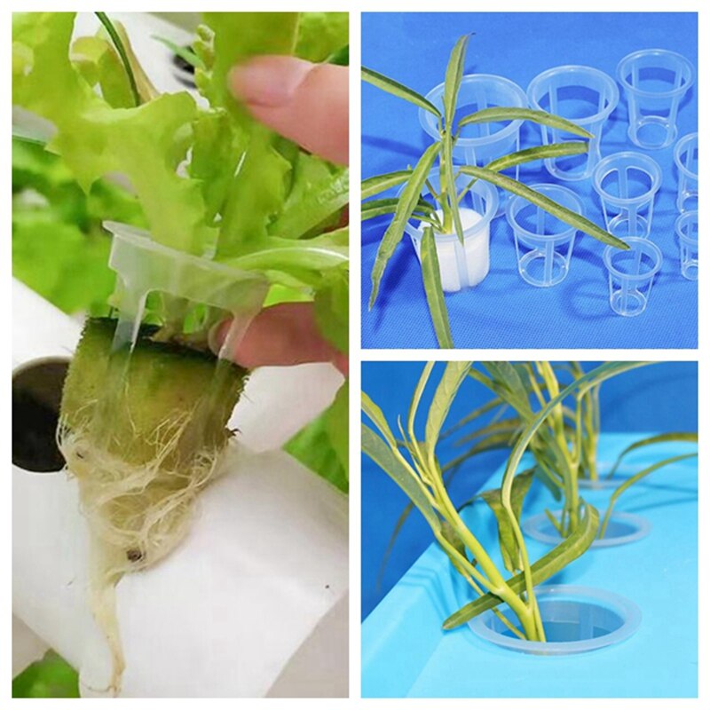 100 stücke Netz Topf Hydrokultur Korb 8 Größe Verfügbar NTF Gittergewebe Topf für Soiless Kultur Frische Material