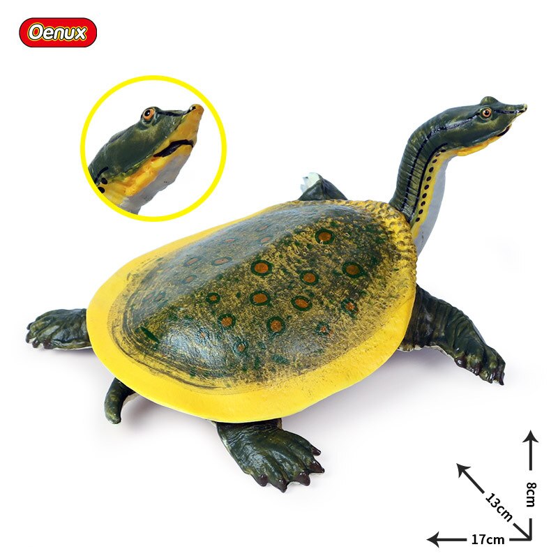17*13*8cm Simulierten Marine leben Ebene modell süßwasser schildkröte, gehörnt schildkröte könig und acht schildkröte modell spielzeug