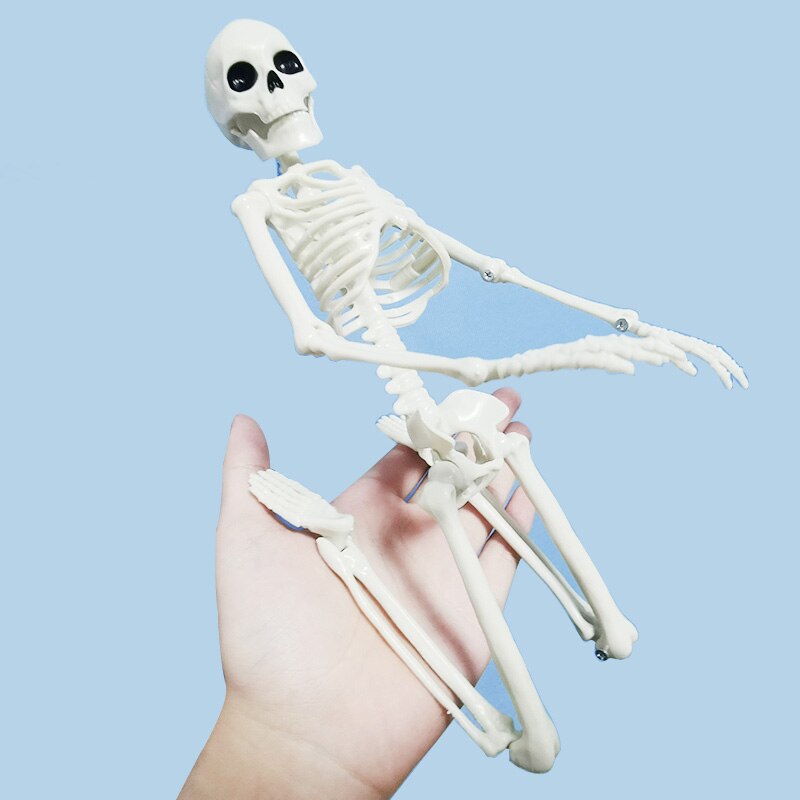 5 Stck Menschlichen Anatomie Skelett skelett Modell Medizinische Medizin Lernhilfe Anatomie 1 Paar Schädel Skelett Hand Knochen Halloween