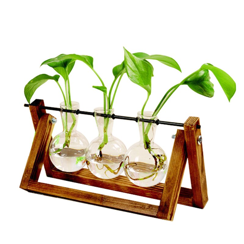 Terrarium Kreative Wasserkulturanlage transparent Vase Holzrahmen Vase Deko Glas Tabletop Pflanze Bonsai Dekor blume Vase