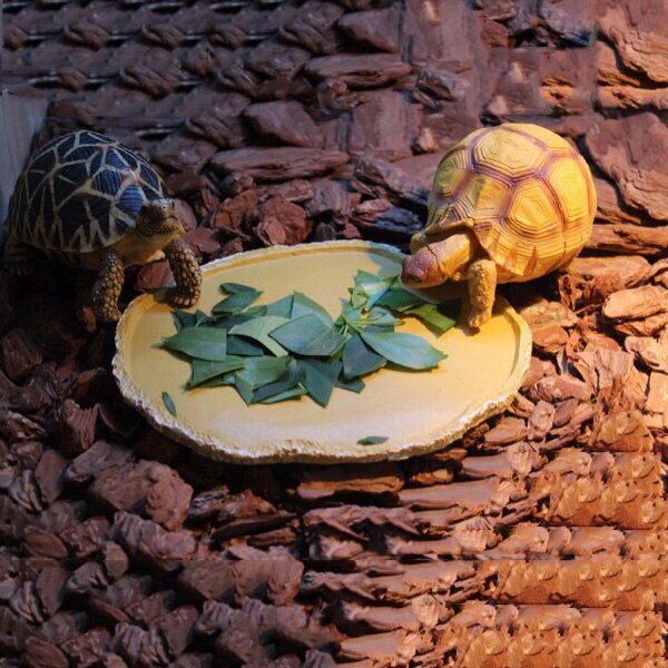 Harz Fütterung Schüssel Trinken Schüssel Terrarium Reptil Vivarium Schildkröte Gecko #2