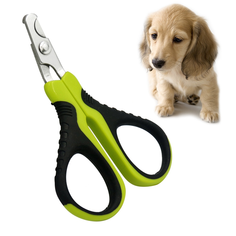 Stil Multi-farben Haustier Hund Katzen Vogel Kappe Klaue Edelstahl Pflege Nagel Knipser Schere Hund Nagel Trimmer schneiden Nagel