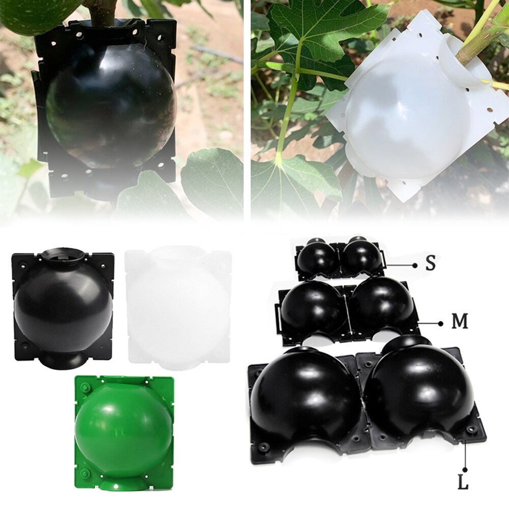 1PC Anlage Verwurzelung Ball Pfropfen Verwurzelung Wachsenden Kasten Zucht fallen Anlage Wurzel Wachsen Kasten Für Garten 5/8/12cm in Durchmesser