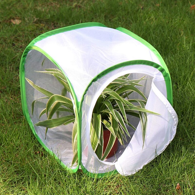 Insekten und Schmetterling Lebensraum KäFeige Terrarium Pop-hoch 12x12x12 Zoll (Weiß + grün)