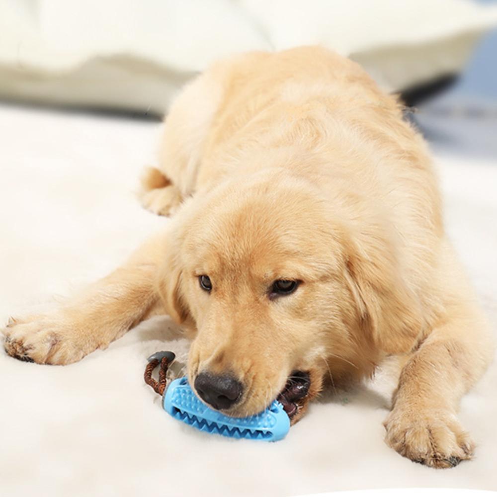 Haustier Hund Spielzeug Interaktive Natürliche Gummi Ball Spielzeug Lustige Interaktive Elastizität Saubere Zähne Spielen Moral- Bälle Hunde Kauen Spielzeug