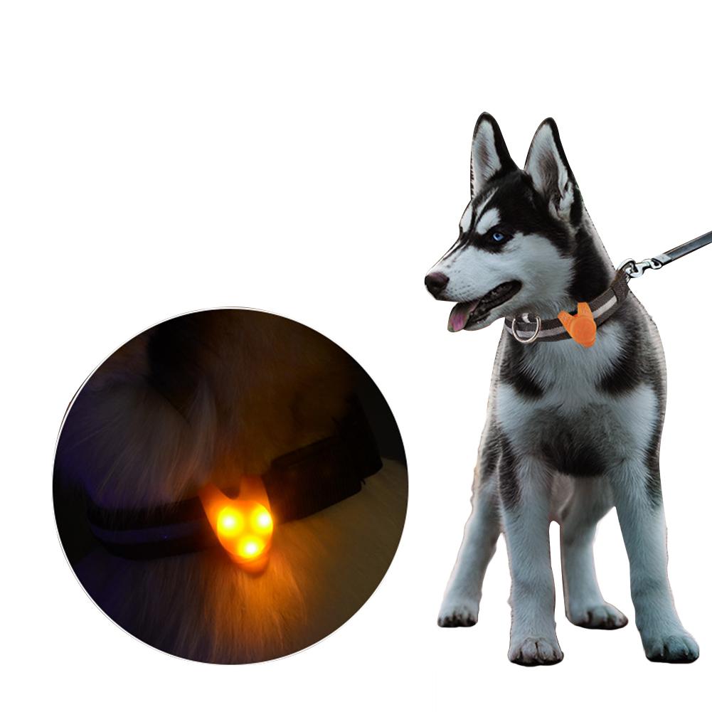 Haustier produkte hund zubehör Helle LED Licht Hund Welpen Teddy Schild Haustier Sicher Kragen Anhänger Ich bin Freien Zu Fuß