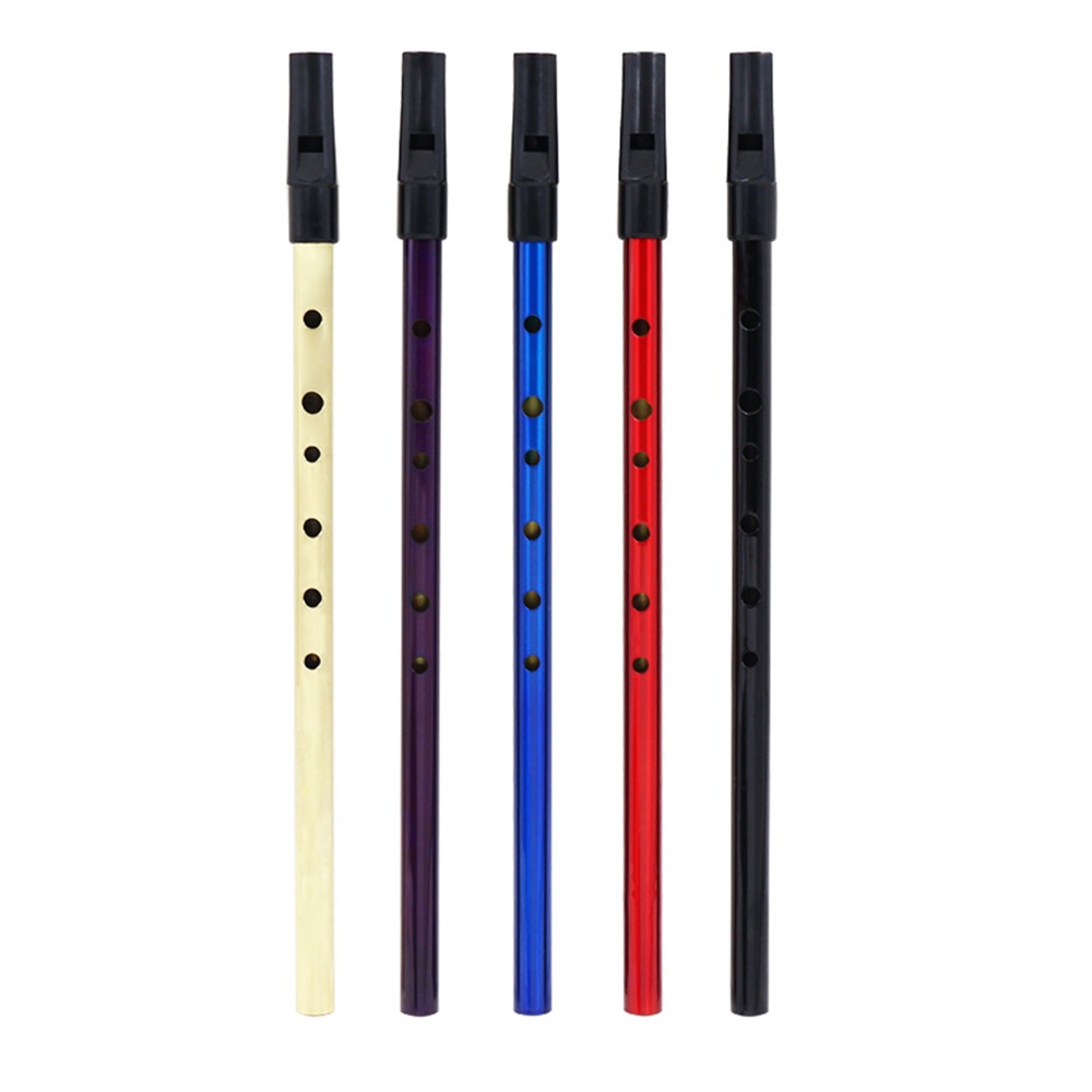 IRIN Pfeife Flöte Feadog Zinn Pfeife Feadan D Flauta Pennywhistle Irland Mini Wind Musikinstrument Tasche 6 See Anfänger