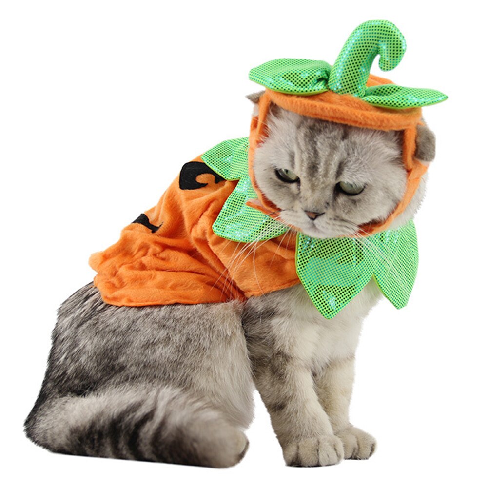 Halloween Karneval Katze Kostüm Lustige Haustier Kleidung Kürbis Hund Halloween Kostüm Outfit für Kleine Hunde Katze Haustier Produkt