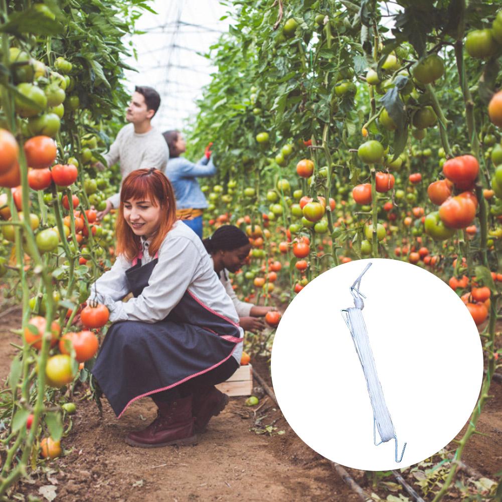 10M dauerhaft Nylon Seil Anlage Tomaten Unterstützung Clip Haken Trauben Verbindet Reben Spalier Verschluss Gartenarbeit Kabel Landwirtschaft Bündel Draht