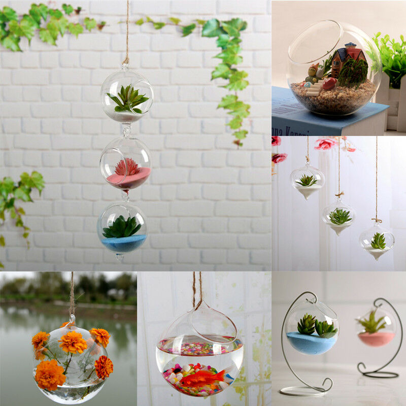 Famiyl Glas Vase Hause Garten Glas Dekoration Blume Hängen Pflanzer Vase Terrarium Container Neue