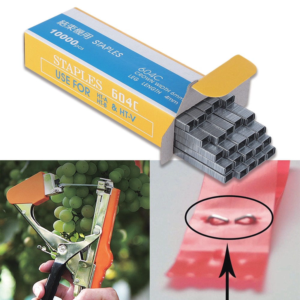 10000 teil/paket 604C Band Nagel Heftklammern Stift Reben Maschine Anlage Zweig Binden Professionelle Krawatte Zweig Werkzeuge Verbinden Garten Clip Stifte