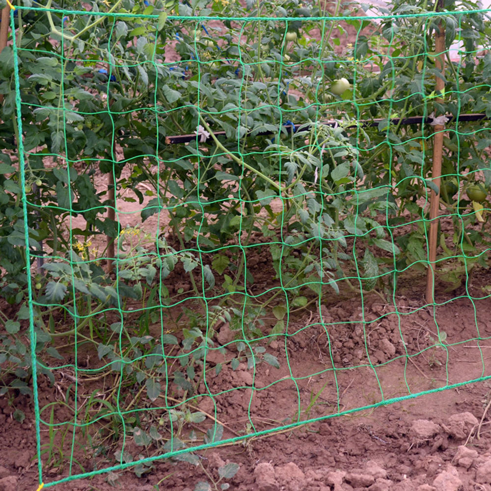 1 pc Gemüse Pflanzen Reben Zaun Blume Klettern Reben Gittergewebe Anlage Unterstützung Rahmen Anlage Wachstum Gitter Netz Garten Zaun