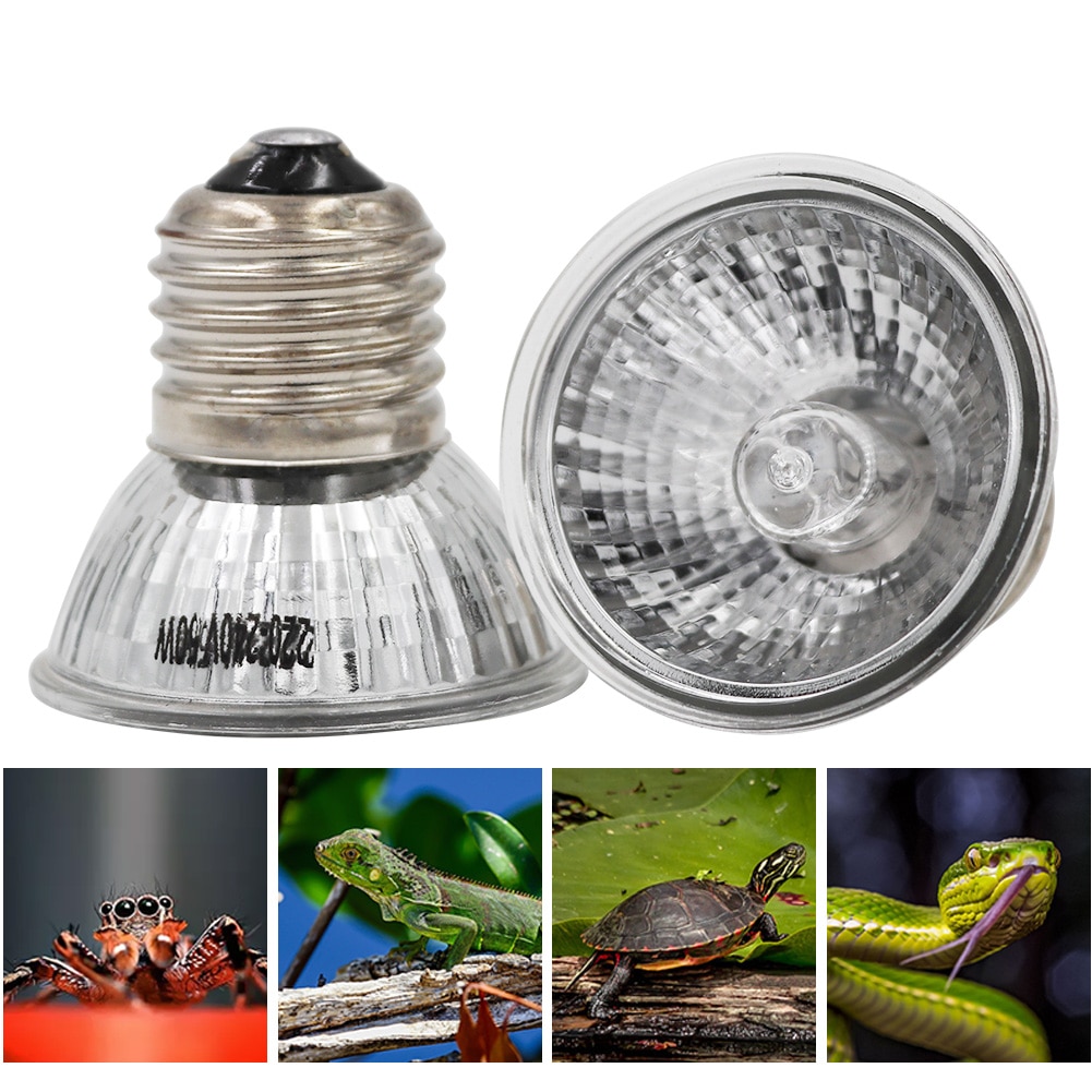 2Stck 25/50/75W Haustier Reptil Wärme Lampe Lampe Schildkröte Aalen UVA + UVB Glühbirnen heizung Lampe Eidechsen Temperatur Regler