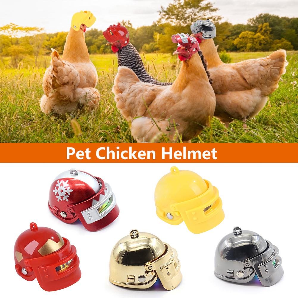 Haustier Helm Lustige Huhn Helm Kleine Haustier Harte Hütte Kopf Schutz Kompakte Huhn Huhn Harte Hütte Haustier Liefert