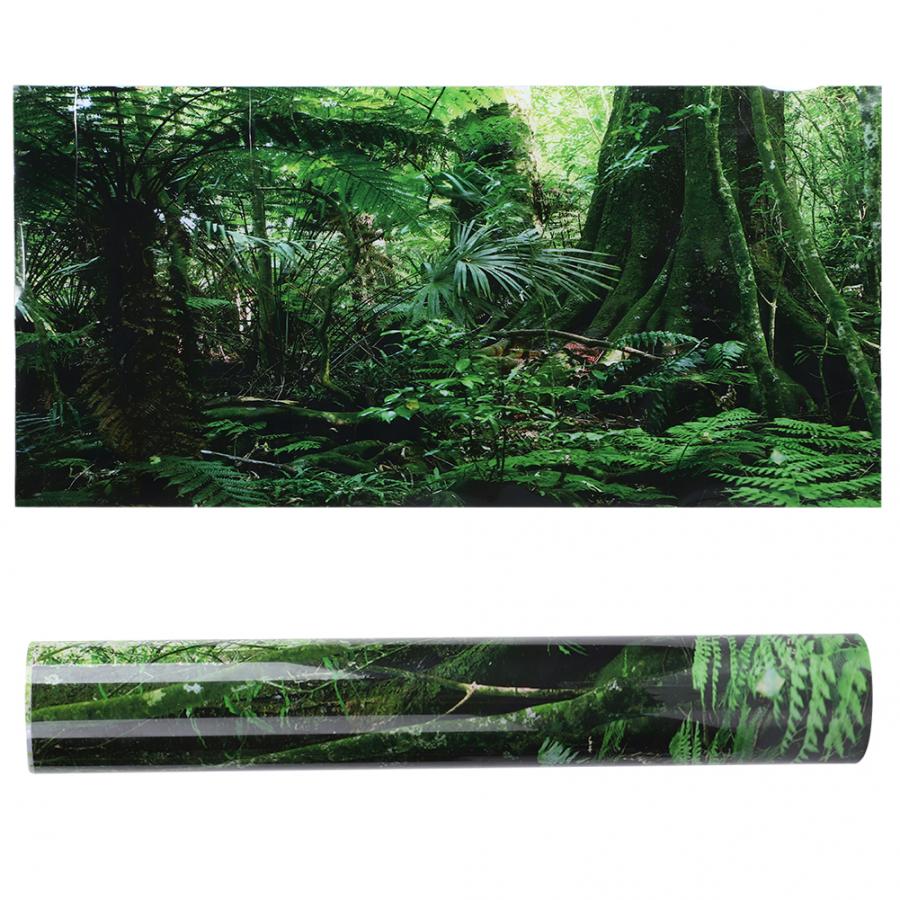 Aquarium Ornamente PVC Reptil Kasten Regenwald Hintergrund Poster Aquarium Zauberstab Bild Malerei Dekor Landschaft Aufkleber Poster