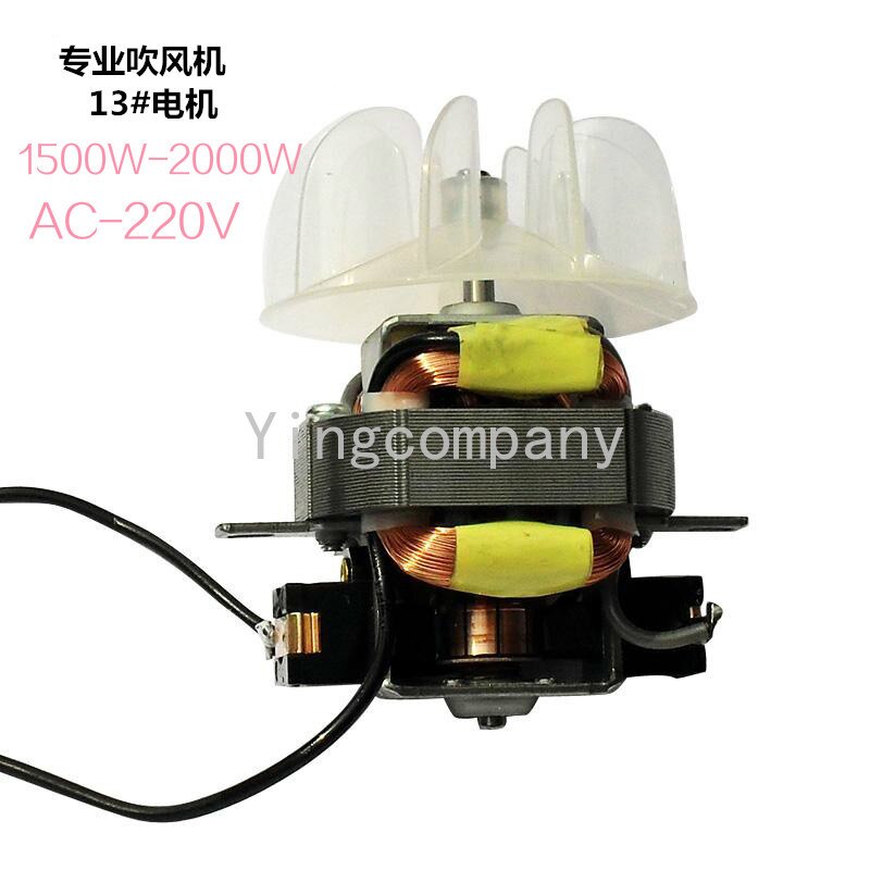hoch-Energie Haar Trockner Motor- Haar Trockner AC Motor- mit Fan Klinge 13# Motor- Haar Trockner Teile