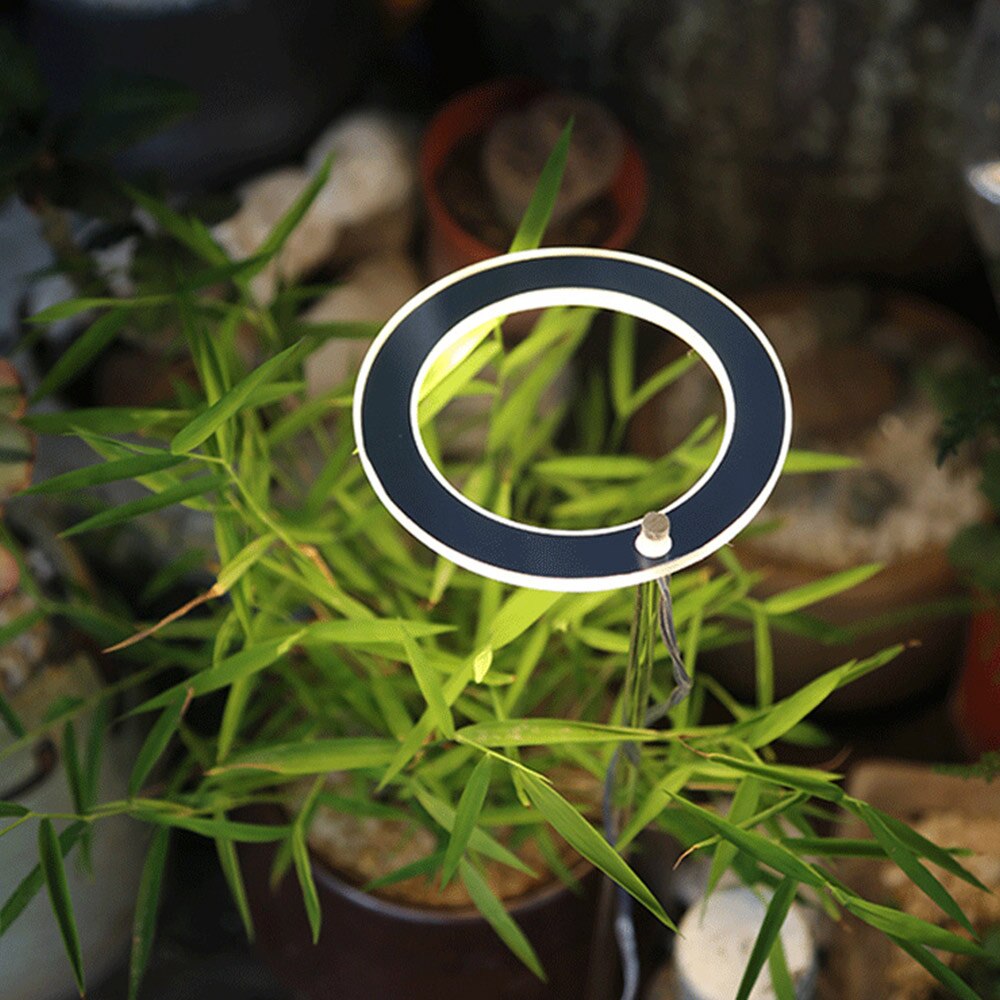 LED Wachsen Licht Gesamte Spektrum Phyto Wachsen Lampe USB Phytolamp Für Pflanzen 5V Lampe Für Pflanzen Wachstum Beleuchtung Für drinnen-Anlage Hause