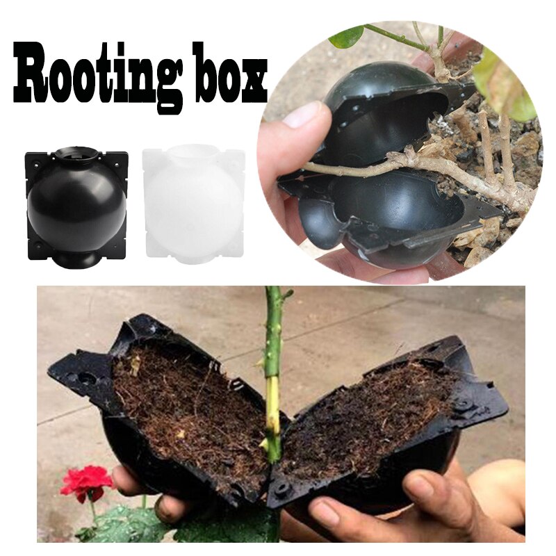 5 stücke Anlage Verwurzelung Ball Pfropfen Verwurzelung Wachsenden Kasten Zucht fallen Anlage Wurzel Wachsen Kasten für Garten 5/8cm in Durchmesser.