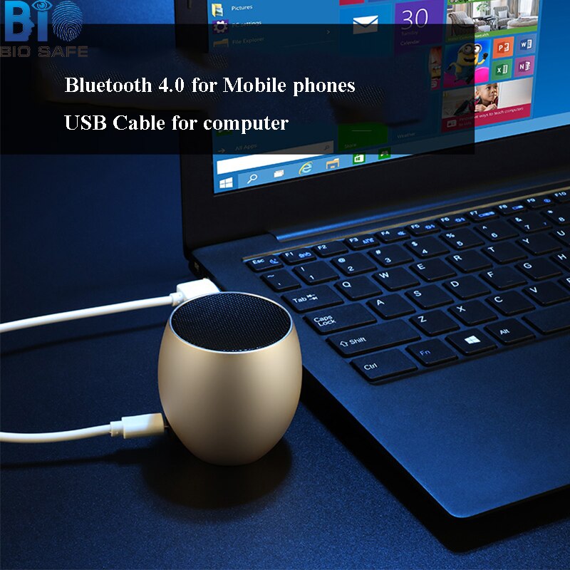 [Bio Lautsprecher] Bluetooth 4,0 Drahtlose Lautsprecher Mini draussen Aufladbarer Audio- Subwoofer Musik-Spieler