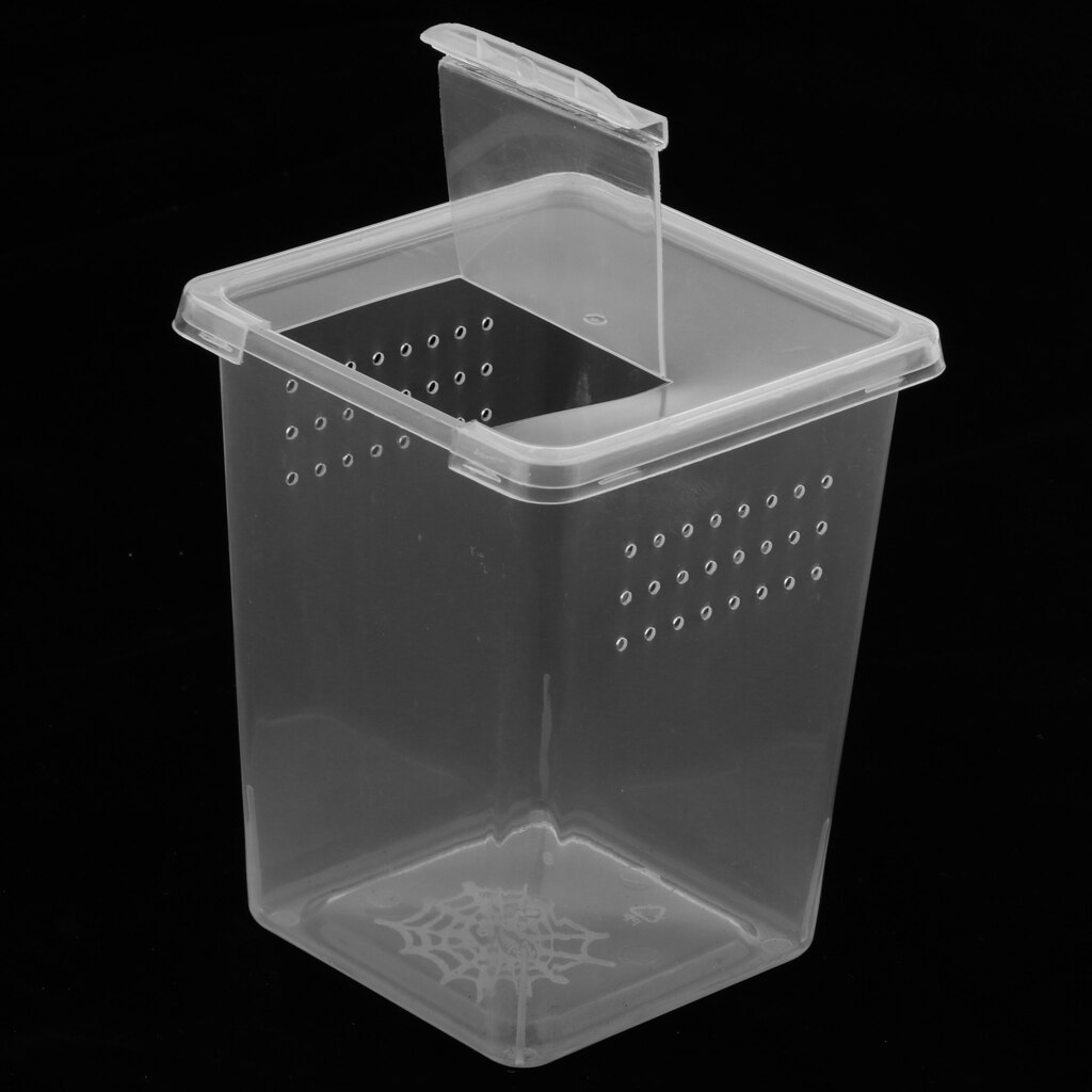 Reptil Spinne Zucht Kasten Hohe Klasse Kunststoff ungiftig Container fallen Schlüpfen Panzer 8x8x11cm
